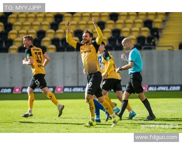 德累斯顿与汉堡比赛是否会延期的最新消息与分析 德累斯顿与汉堡比赛是否会延期的最新消息与分析