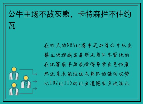 公牛主场不敌灰熊，卡特森拦不住约瓦