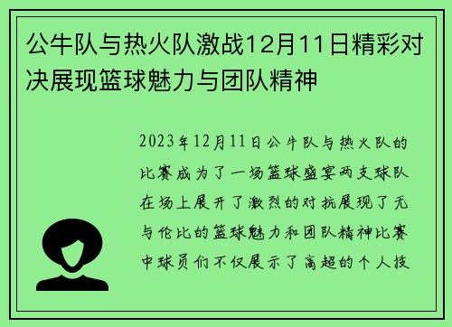 公牛队与热火队激战12月11日精彩对决展现篮球魅力与团队精神