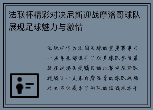 法联杯精彩对决尼斯迎战摩洛哥球队展现足球魅力与激情