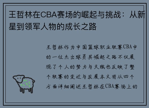 王哲林在CBA赛场的崛起与挑战：从新星到领军人物的成长之路