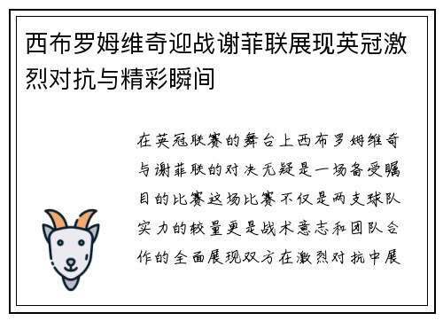 西布罗姆维奇迎战谢菲联展现英冠激烈对抗与精彩瞬间