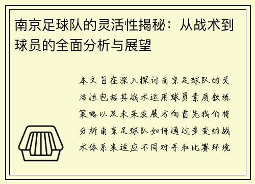 南京足球队的灵活性揭秘：从战术到球员的全面分析与展望